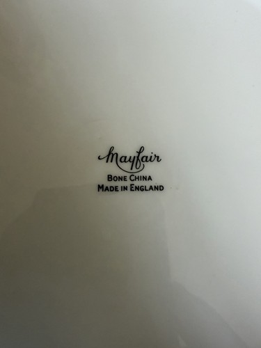 Mayfair bone china tea - tea, 21