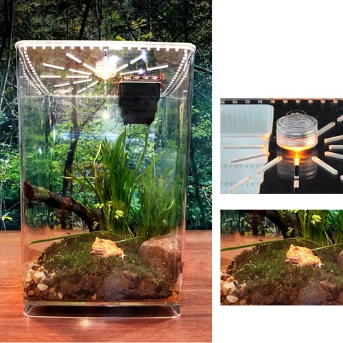 Large acrylic reptile - large,