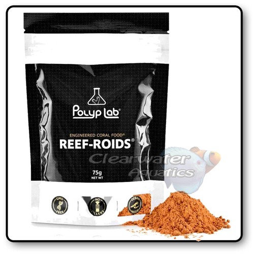Polyp lab reef - polyp, marine