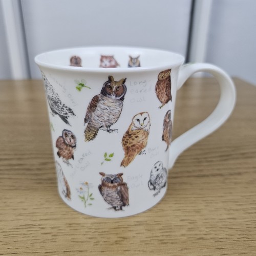 Dunoon owls kate mawdsley - dunoon,