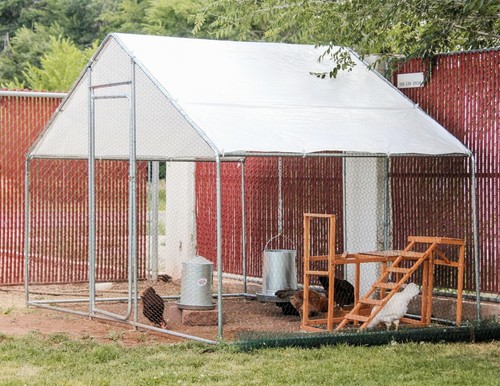 Chicken coop for - for, 15-20