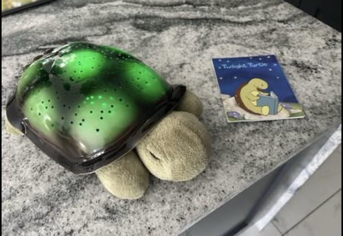 Cloud twilight turtle with - b,