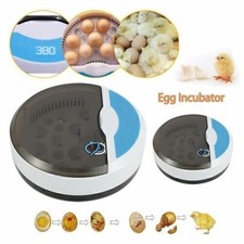 9 Eggs Incubator Temperature Control Digital Automatic Chicken Duck Hatcher SP