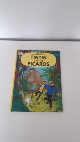 Tintin book - tintin,