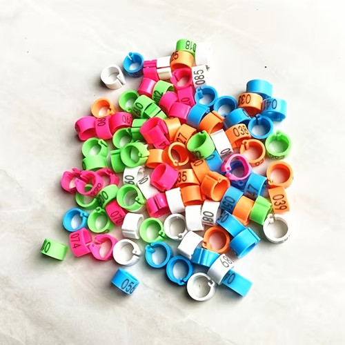 Pigeon foot ring - pigeon, ring,