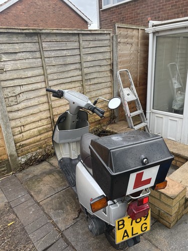 1984 yamaha salient - 1984,