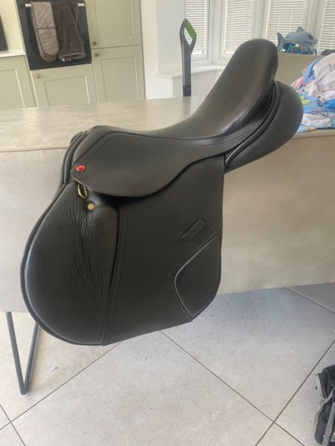Albion adjusta legend jump - k2,