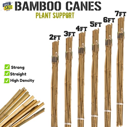 Thick stake bamboo garden - thick,