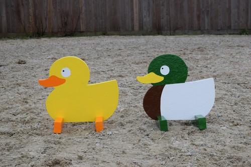 Duck show jump - show,