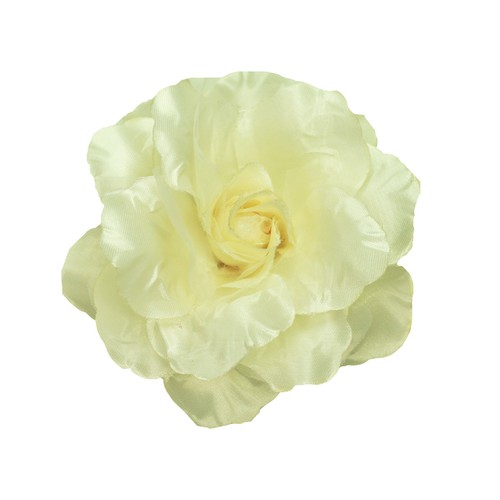 Rose satin woman girl - rose,