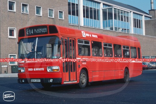 Bus photo red white - -,