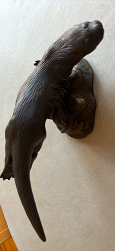 Heredities swimming otter - -swimming,