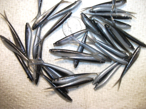 200-1