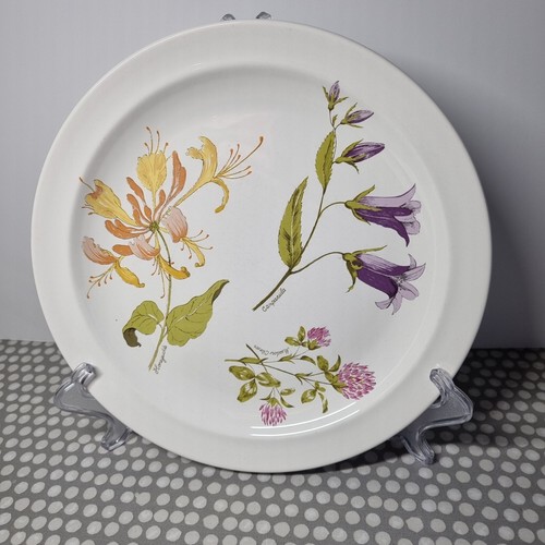 Royal worcester palissy - royal,