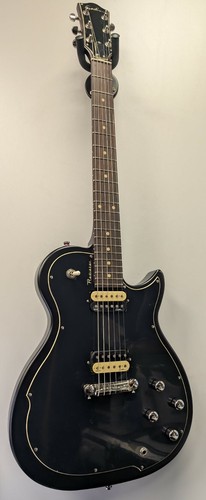 Godin radiator electric guitar - radiator,
