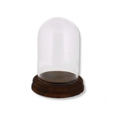 Glass Display Dome Bell Jar Cloche Wooden Base Figure Action Gift Table Decor