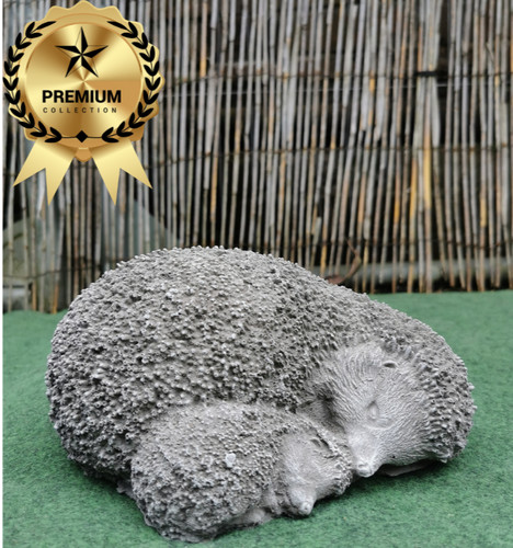 Hedgehog hoglet concrete - hedgehog,