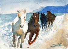 Horses of Santa Cruz Island : SandraWatercolors™ California : ORIGINAL PAINTING