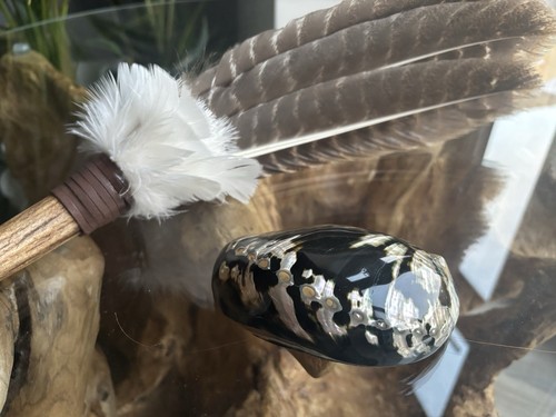 Abalone shell and feather - shell,
