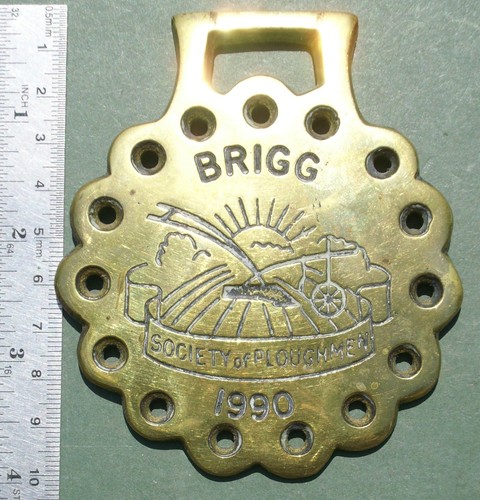 Horse brass burwell - kb, brass: