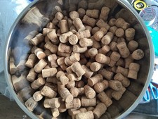 100 Used Classic Champagne