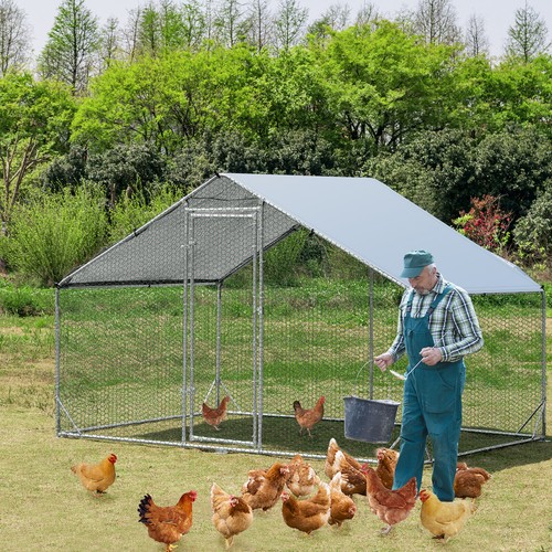 Large chicken run walk coop - run,
