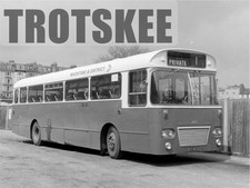 Larger Negative Maidstone &