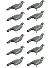 Flocked Pigeon Decoy Shells Premium Feeding Shooting with Pegs Hunting 12 Pack