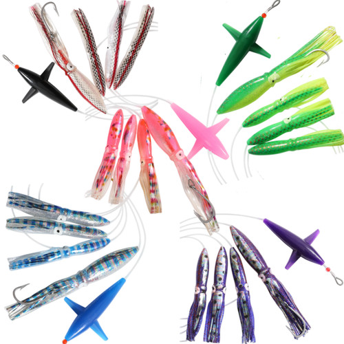 Ocean cat saltwater squid - ocean,