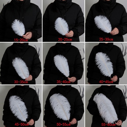 Wholesale 10pcs ostrich - 5/10pcs,