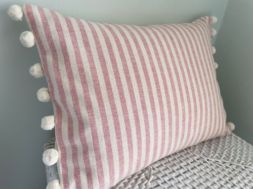 Susie watson rose ivory - susie,