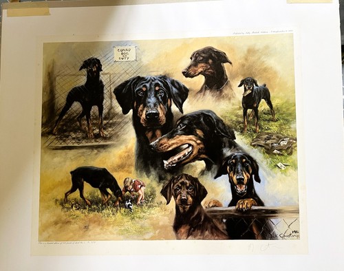 Mick cawston dobermann dogs - mick,