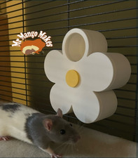 Flower Rat Foraging Wheel, Rat Enrichment toy, Bird Enrichment Toy, Small Animal