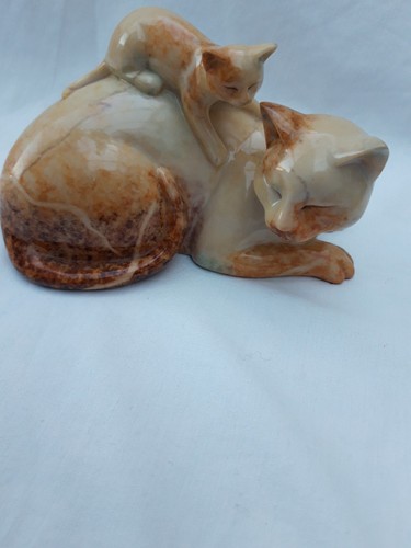 Shudehill mother cat - shudehill,
