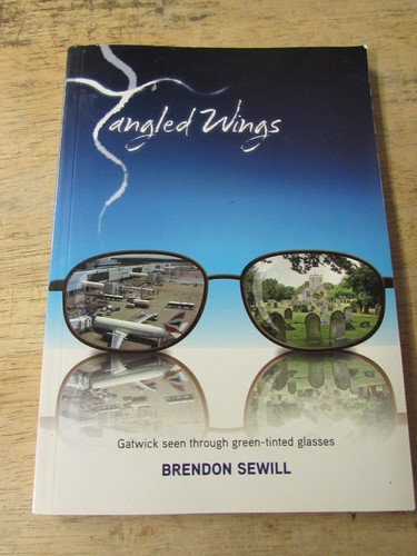 Tangled wings brendon - wings,