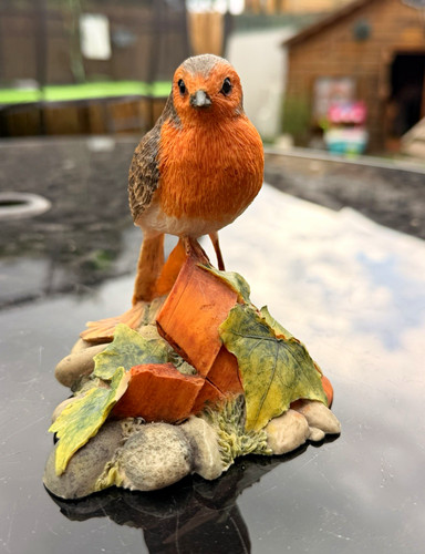 Border fine arts robin bird - arts,