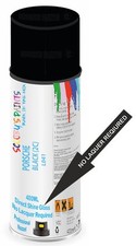 Direct Shine Paint Spray