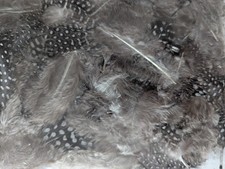 50pcs Natural Black White 4-12cm Guinea Fowl Feathers DIY Art Craft