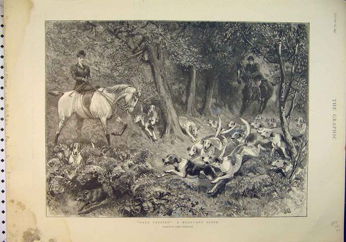Original old antique print - old,