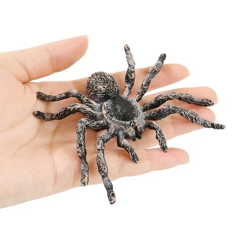 Fake realistic spider - fake,