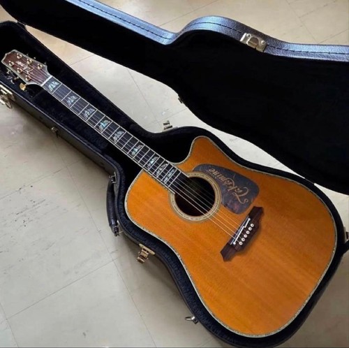 Takamine dsp200 acoustic - takamine, ct