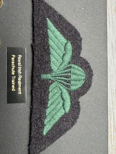 Royal irish regiment - irish, para