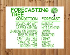 WEATHER FORECASTING TREE Metal