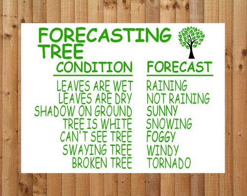 Weather forecasting tree metal - weather,