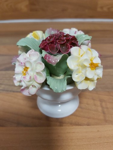 Aynsley september dahlia - aynsley,