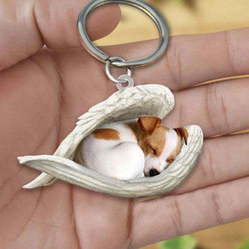 Cat dog sleeping angel - dog, acrylic