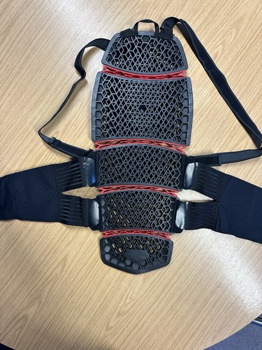 Dainese back spine protector - back,