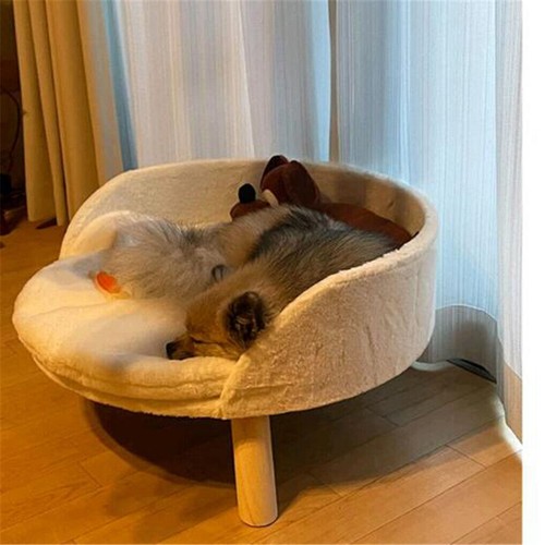 Pet sofa bed raised cat - sofa,