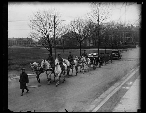 Photo 1928 funeral horse drawn - funeral, horse-drawn