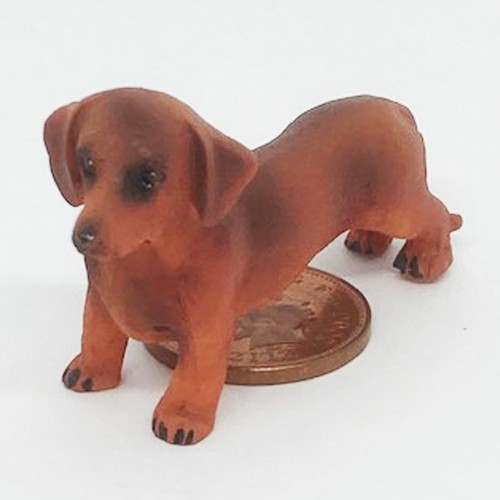 Dolls house dachshund - house, dog
